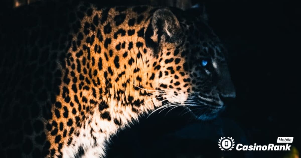 Yggdrasil Partners ReelPlay për të lëshuar Jaguar SuperWays nga Bad Dingo